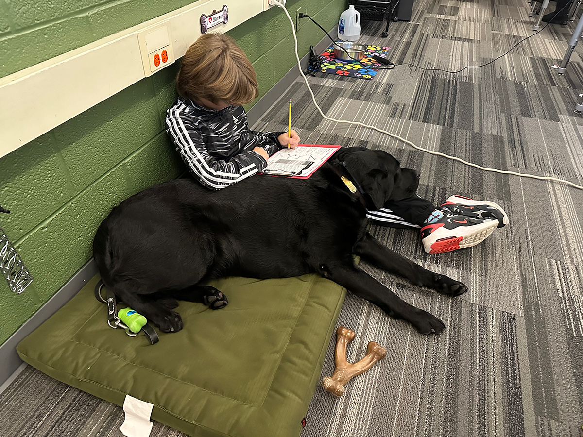 A person is sitting on the floor, leaning against a black Labrador who is resting on a green cushion. The person is focused on writing in a notebook. Various items including a dog bone are scattered nearby.